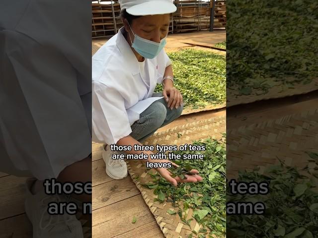 Dont get me started on flavored teas  #tea #yunnan #china #innovation #jessesteahouse #gongfutea ￼