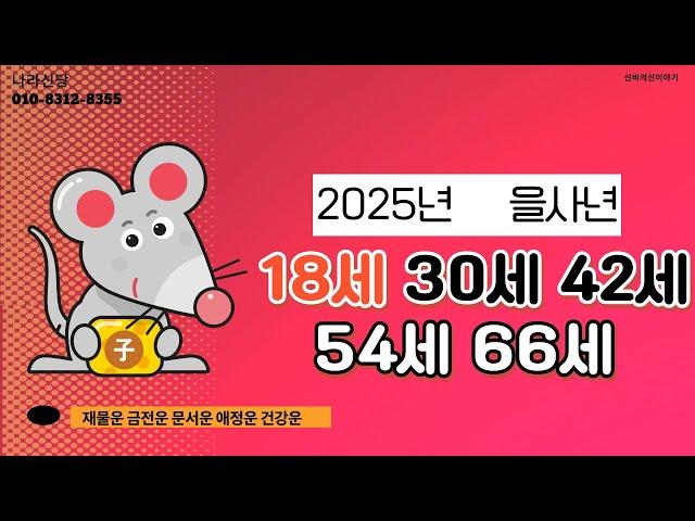 2025년 을사년 신점으로 본 나이별 쥐띠 신년운세 (18세,30세,42세,54세,66세)[용한점집][용한무당]