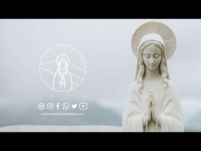 Meditación del Día | Martes 17 de junio de 2025 ¿Cómo puedo perdonar?