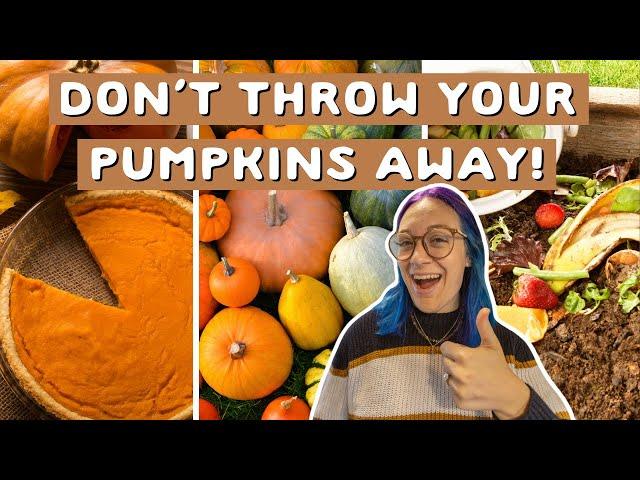 Here's what to do with your Halloween pumpkins to prevent food waste