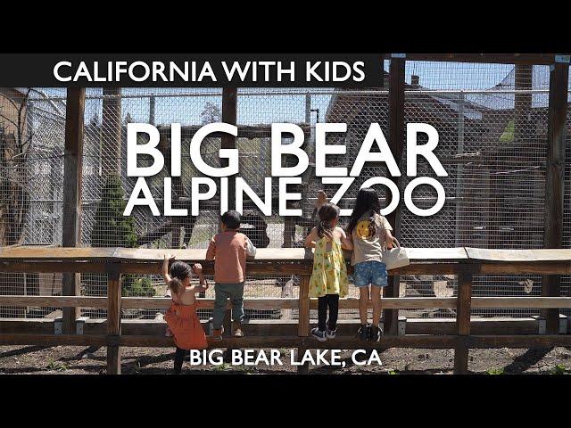 Big Bear Alpine Zoo In Big Bear Lake