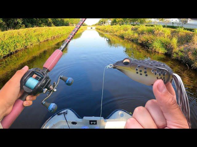 Fishing SECRET Florida Canals for SNAKEHEAD