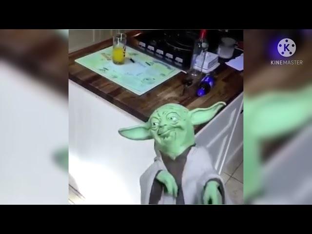 yoda gets slapping