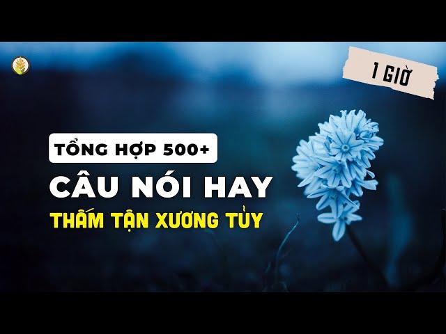 Tổng Hợp 500 Câu Nói Hay Thấm Tận Xương Tủy  (Video 1 Giờ) - Kênh của Lúa