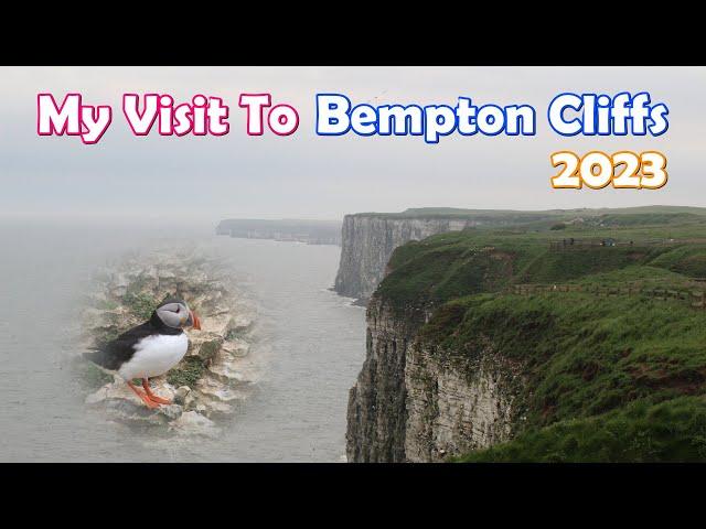 My Visit To Bempton Cliffs (May 2023)