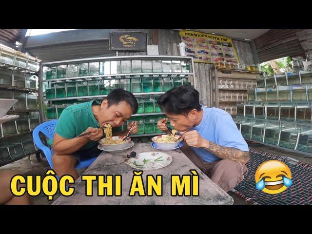 Cuộc Thi Mì Ăn Liền của ông chủ trại cá Betta ai ăn nhanh người đó chiến thắng