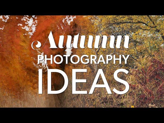 Autumn Photography Ideas with Mirrorless Cameras and Nikon Z 6iii, Z 8, and Z 9 Multiple Exposures