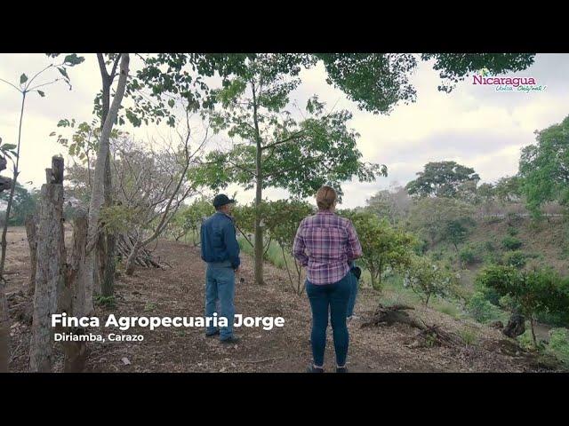 Finca Agropecuaria Jorge, Diriamba, Carazo