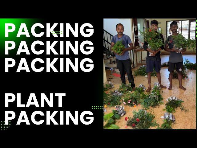 സന്തോഷവും സങ്കടവും  / plants packing/ Plants courier packing