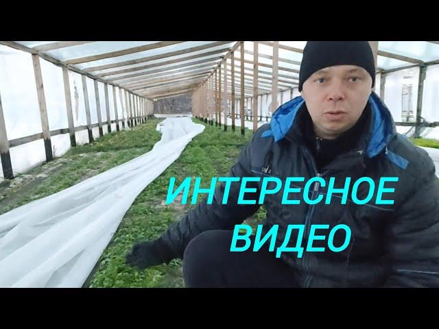 Зимняя теплица.Рынок. Отвечаю на комментарии.