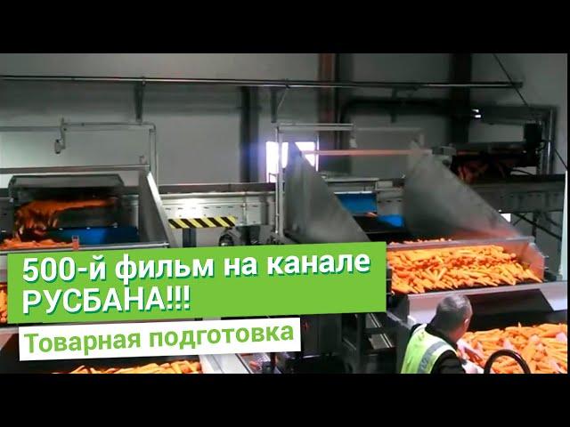 Концепция овощного центра по предпродажной подготовке  на 150 000 тонн в год