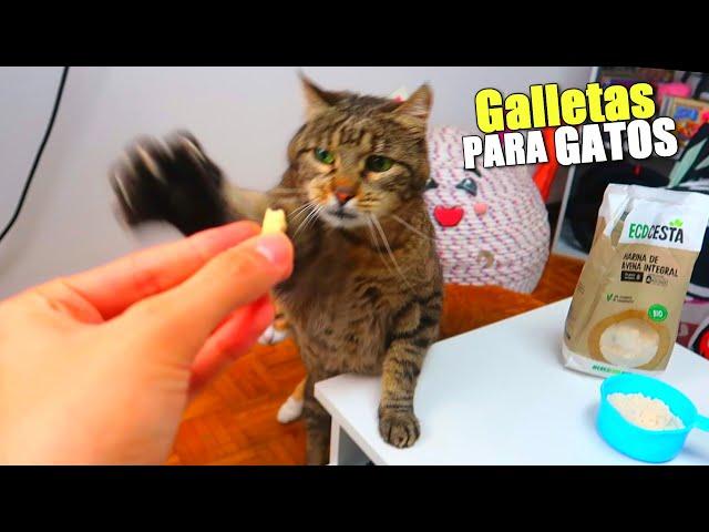 GALLETAS PARA GATOS