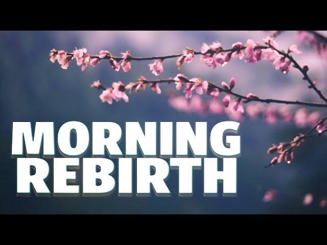 This poem will cheer you up | Spring Morning by Meng Haoran