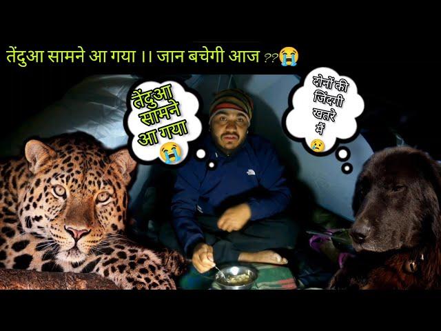 Night Camping In Dangerous Forest || Solo Camping Gone Worng || Leopard visit my camp Area #camping