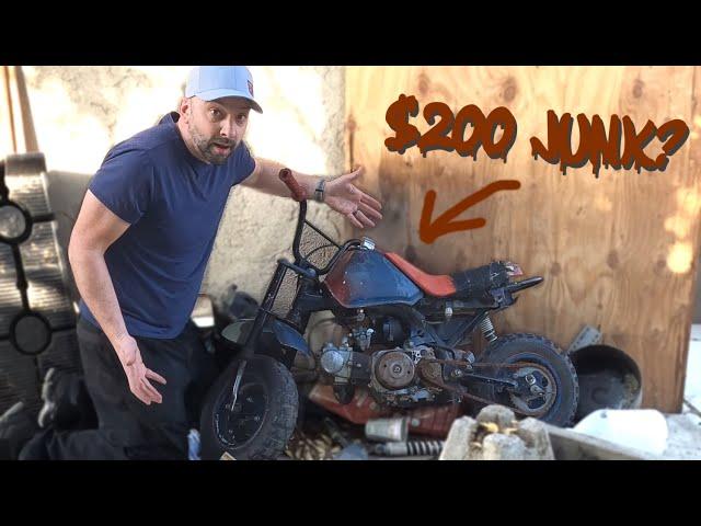 $200 Motorcycle! How We Restore The Honda Z50 !