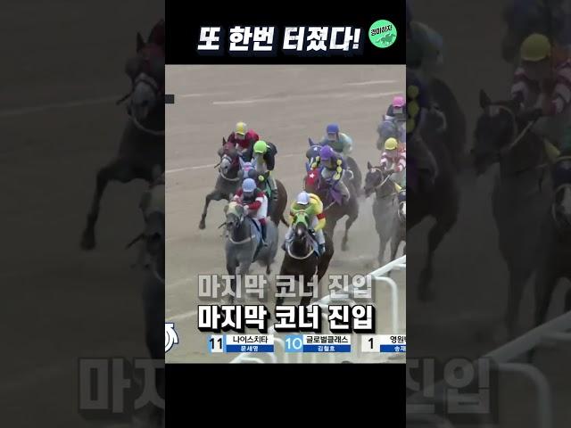 또 터진 초고배당! 15856.5배 #shorts