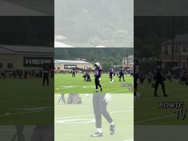 Hopkins' clutch catches: Diving scoop! Lamar called it "super vet." #RavensFlock #shorts