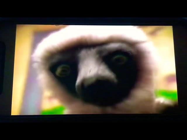 Zoboomafoo Run Like A Horse  ‍️ ‍️ 