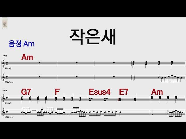 작은새 어니언스 Am  /통기타 카포 악보영상