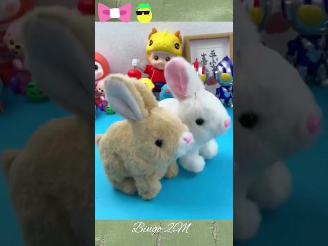 Dancing rabbit toy #funnyvideo #