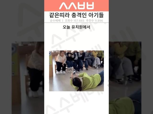 나는 뱀띠야! 나도! 신기한 아기들