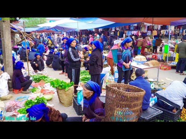 CHỢ PHIÊN Y TÝ LÀO CAI | Miền núi tây bắc