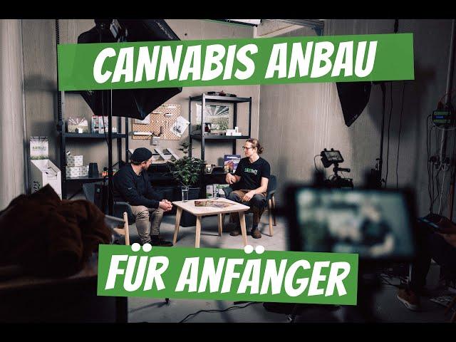 Cannabis Anbau für Anfänger| Vom Samen bis zur Ernte |  Tipps und Tricks von den Profis |