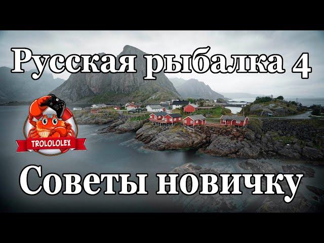 Русская рыбалка 4  Норвежское море. Советы для новичков.