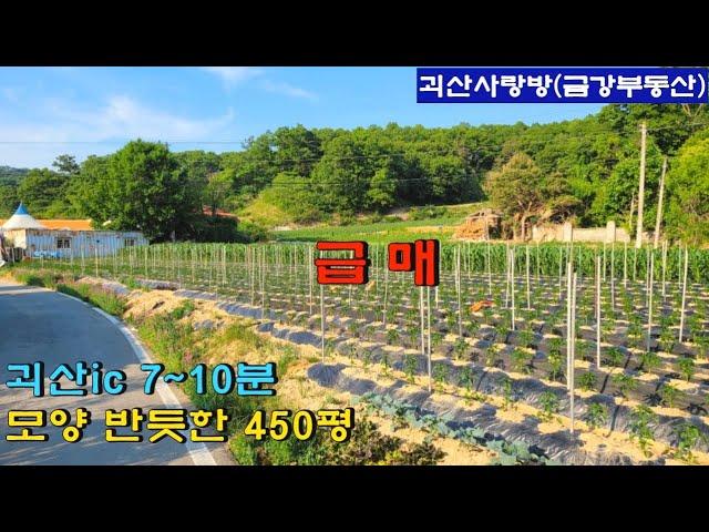 591. 괴산군 감물면. 괴산 ic와 괴산군청 10~15분 거리. 모양 반듯한 토지 450평. 괴산사랑방, 괴산부동산, 괴산토지, 괴산땅, 괴산전원주택지, 금강부동산