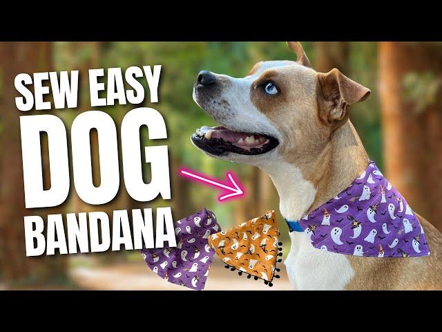  Sew a DIY Over the Collar Dog Bandana in 15 Minutes or Less