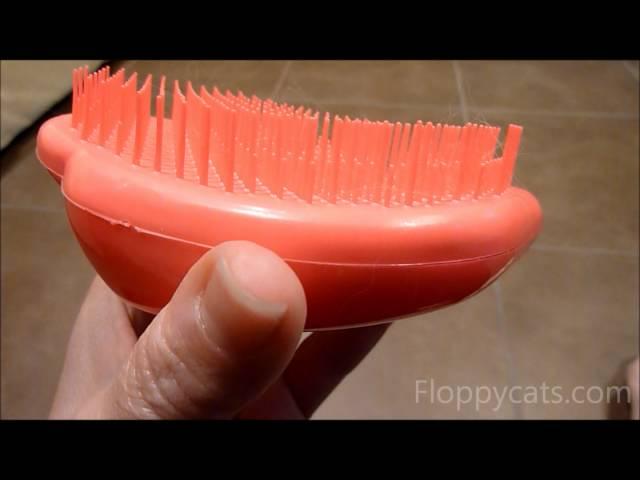 Ragdoll Cat Gets Brushed with Tangle Teezer - ねこ - ラグドール -- Floppycats