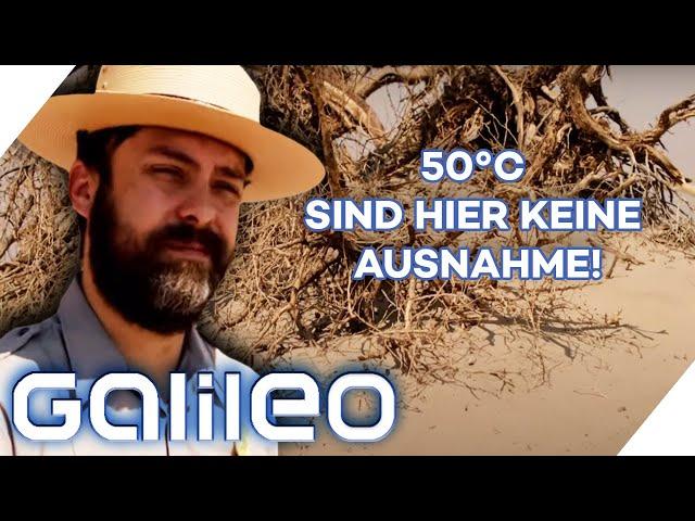 13.000 km² Wüste! So lebt es sich im Death Valley, dem heißesten Ort der Welt! | Galileo | ProSieben