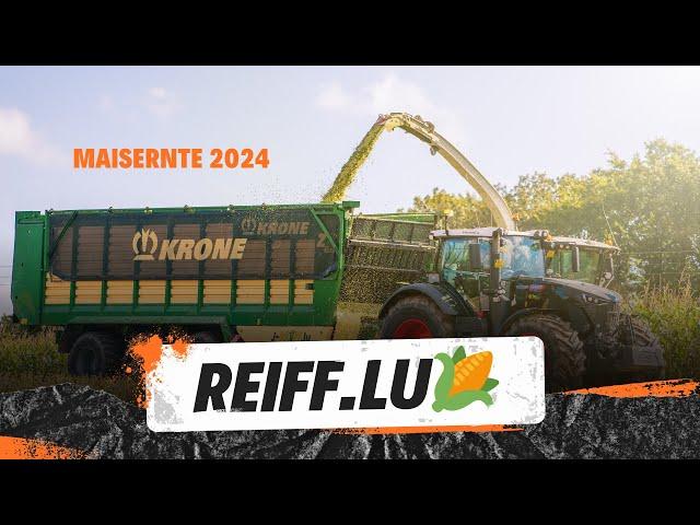 Maisernte 2024 zu Gast bei Lohnunternehmen Reiff.lu