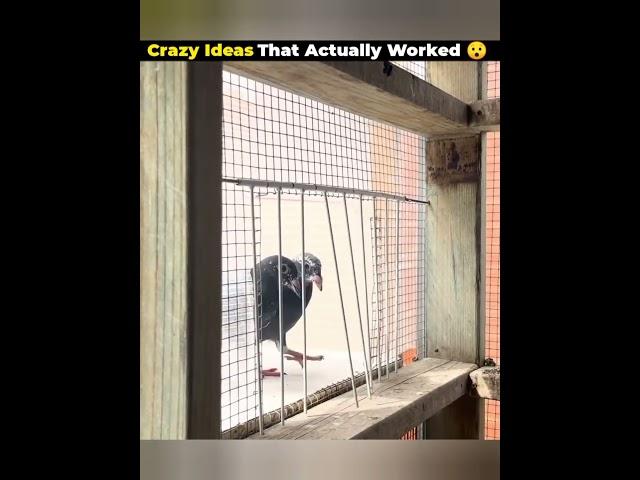 Crazy Ideas That Actually Worked  | Facts Adda | Interesting Facts | #viral #facts