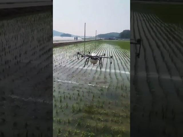 중기제초제 원액살포