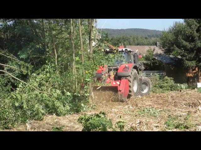 Der Forstexperte – Rodung eines Grundstücks im Wienerwald mit Ferguson 8690 und AHWI Forstmulcher