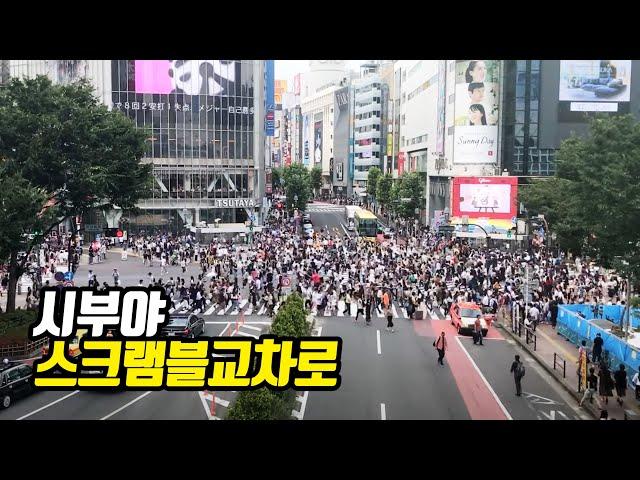 Shibuya Crossing in Tokyo