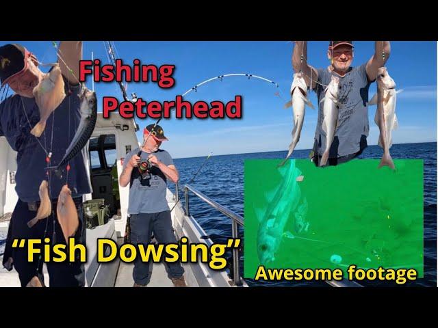 Awesome Boat fishing: Peterhead: North East: Aberdeenshire Coast: Haddock: Mackerel: Dab: 