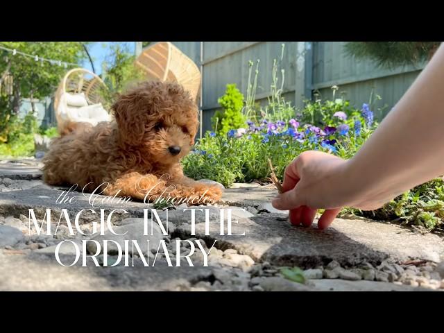 A Day in My Life  Simple Habits for a Happier Life - Cooking & Decorating | Slow Living ASMR Vlog