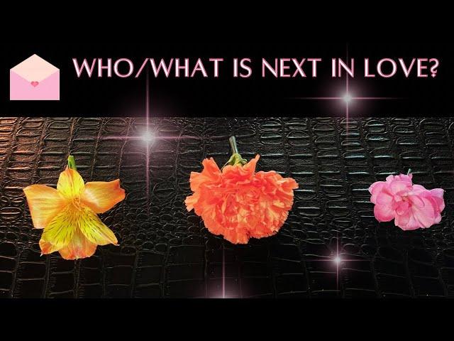 Pick A Card  Intuitive FLOWER  Reading • WHO & WHAT Is NEXT In LOVE?  What Are You ATTRACTING? 