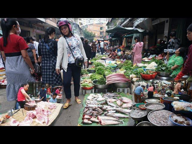 Cambodia Street Market Show - Plenty Rural Chicken, Fresh Vegetable, River Fish & More Food