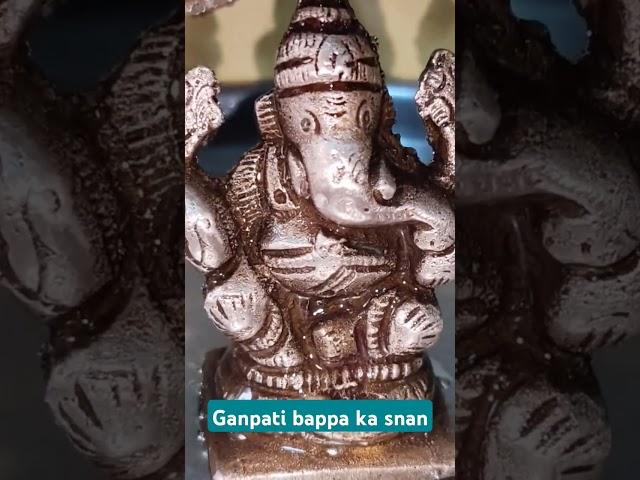 #ganpati #ganeshchaturthi #mumbai #ytshorts #home #2024.