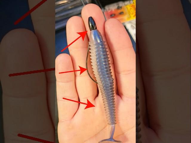 Learn to Texas Rig Swimbaits