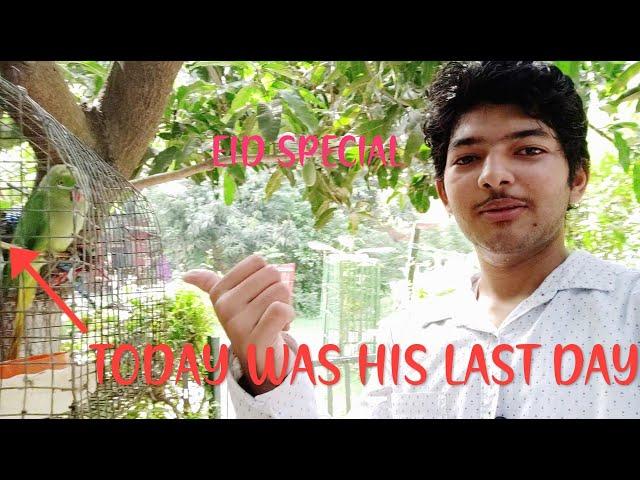 TIME FOR HIM TO GO !! | EID SPECIAL | #mdtvlogs