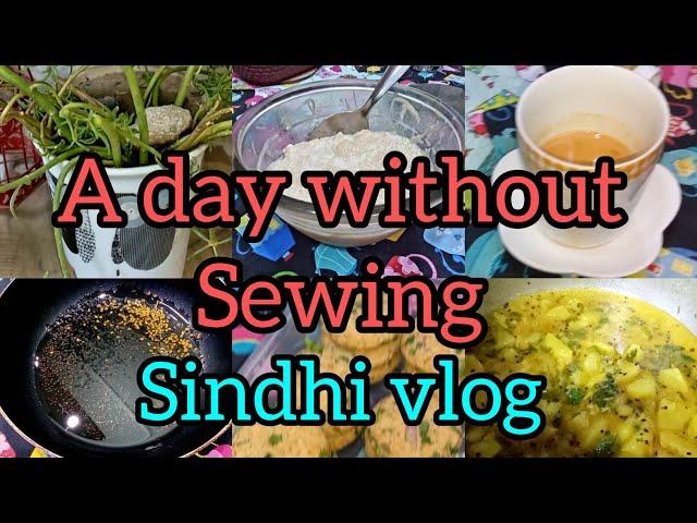 A day without sewing 🪡/my daily routine  🫕 🪴️/sindhi vlog 