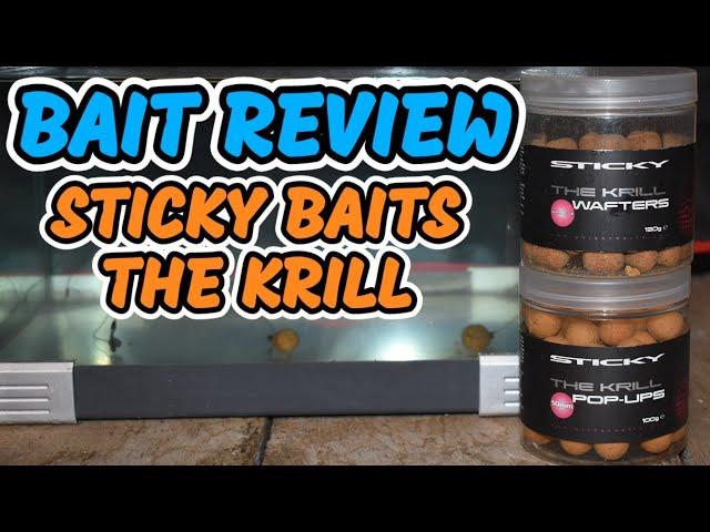 STICKY BAITS THE KRILL!!! BAIT REVIEW | TOMMYS BAIT TESTING | CARP FISHING 2024