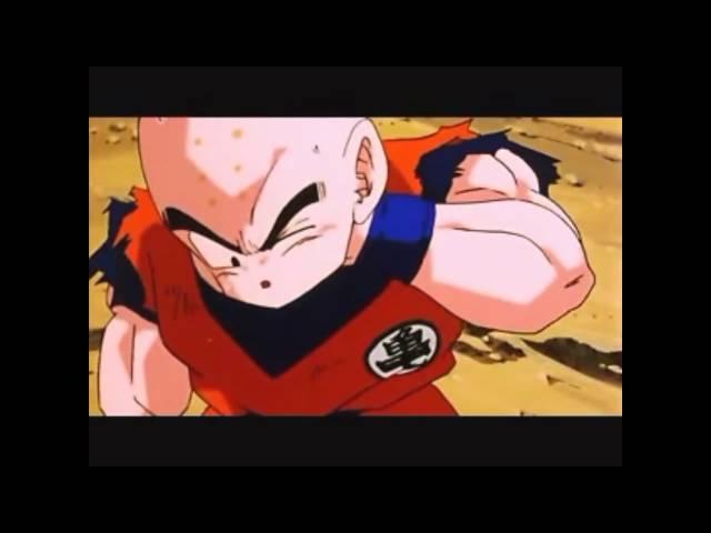 Gay Moments in DragonballZ  -Parody-