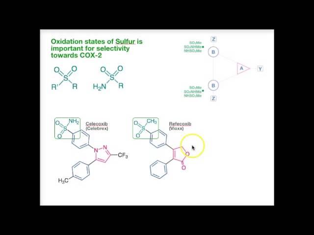 05 COX-2 Inhibitor Framework