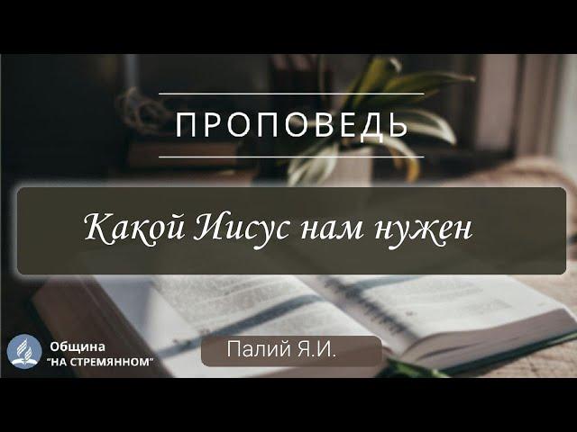Какой Иисус нам нужен |  Христианские проповеди АСД | Палий Ярослав Иванович