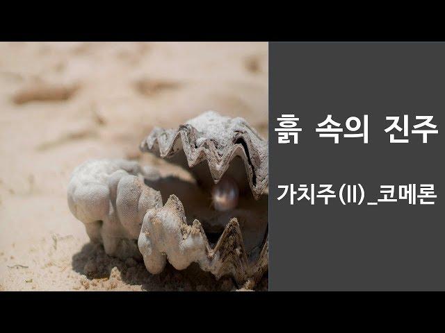 가치주(II)_코메론